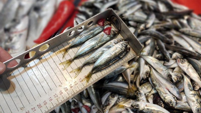 Boy limitine uymayanlara af yok