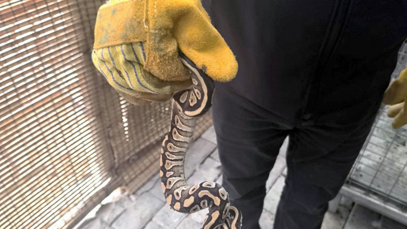  Şok eden olay! Vatandaşın cebinden çıktı, ekipler el koydu