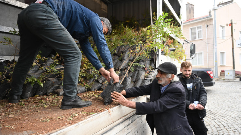 Tarımda yeni dönem! Sumakta destek 12 bini aştı