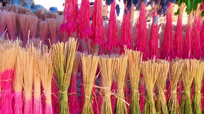 Tarladan vazoya! Yurtdışına rengarenk ihracat