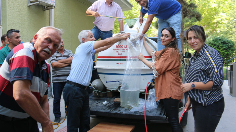 Hüyük ve Derebucak'taki göletler balıklandırıldı