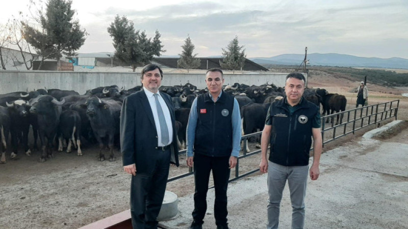 Üreticimiz daha çok kazanacak