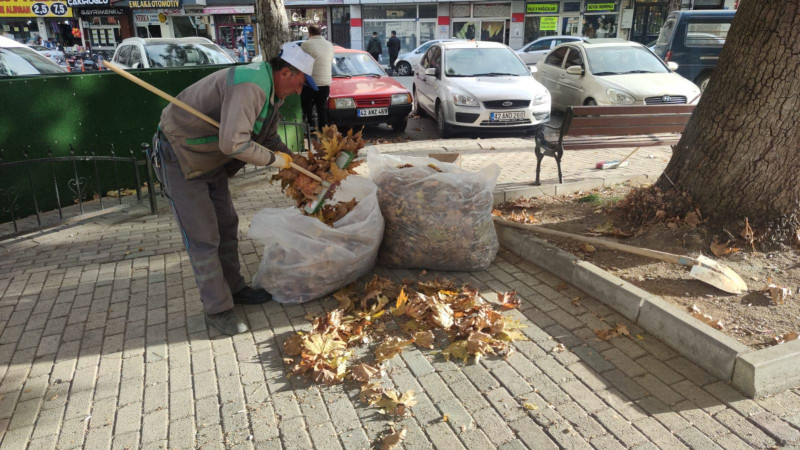 Beyşehir'de yaprak dökümü mesaisi