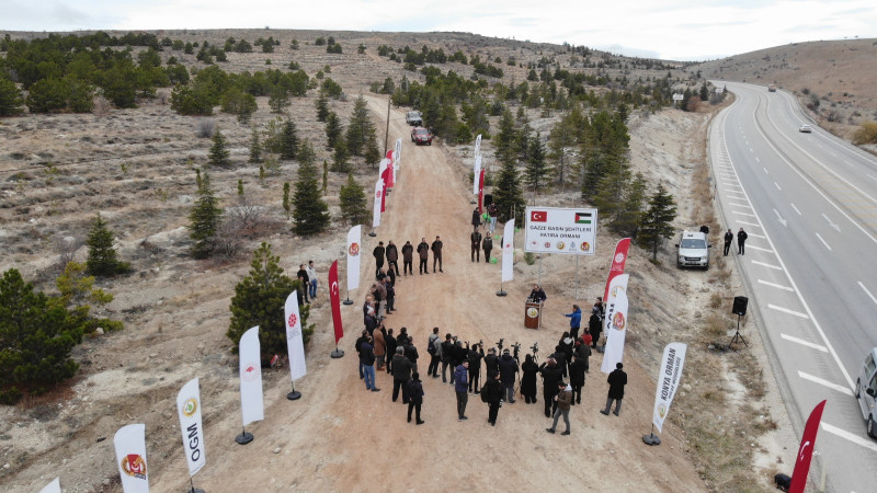 Gazze’de katledilen gazeteciler anısına Beyşehir yolunda fidan dikildi