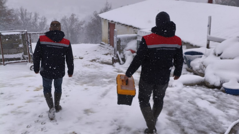 Beyşehir'de hayvan sağlığı için seferberlik