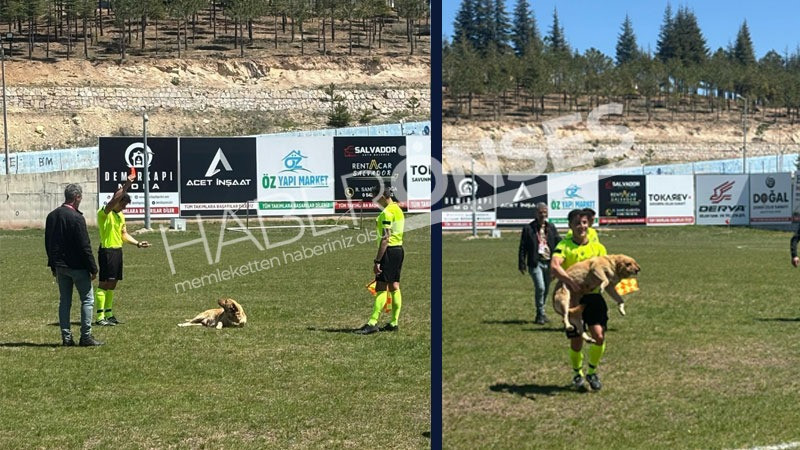 Amatör maçta sahaya sahipsiz köpek girerse...
