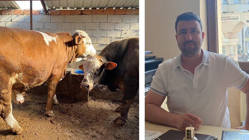 Beyşehir’de kurbanlıklar görücüye çıktı