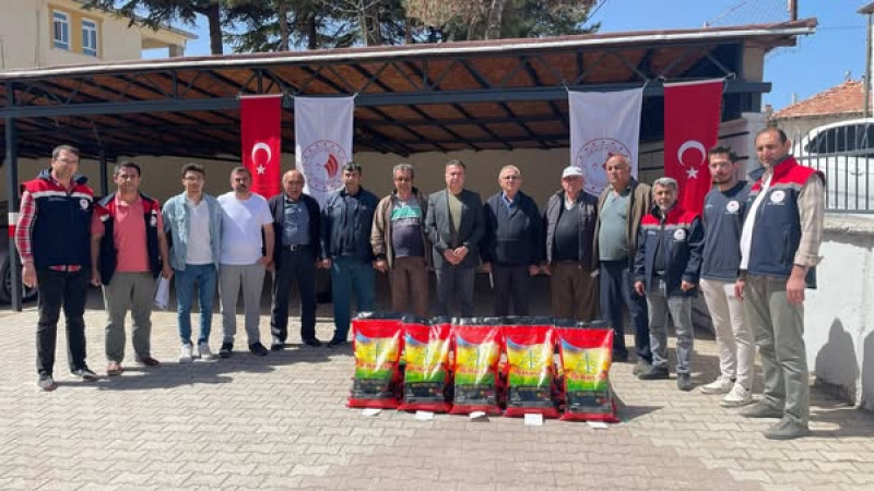 Beyşehir'de Sorgum Sudan Otu üretimi yaygınlaşacak