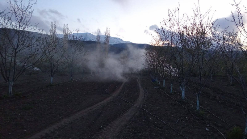 Zirai don mağduru çiftçilerin zararı karşılanacak