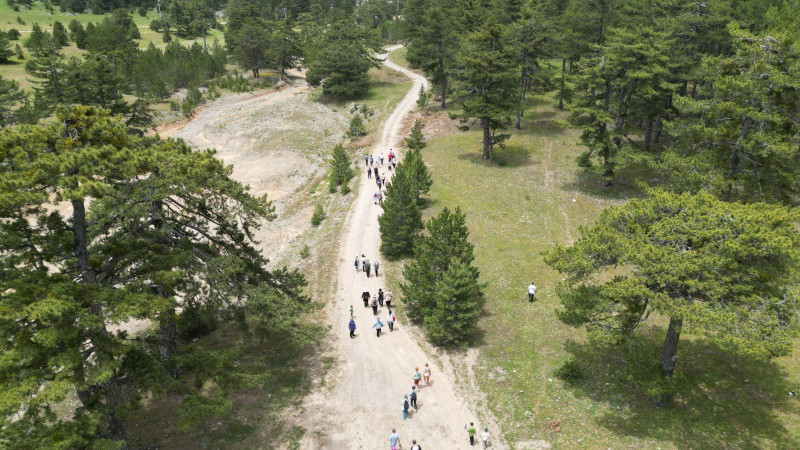 Konyalı eczacılar, Beyşehir'de oksijen depoladı