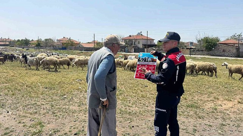 Jandarma, besicileri hayvan hırsızlığına karşı uyarıyor