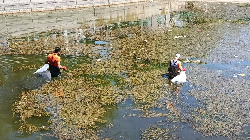 Manzara vahim! Tepki çekti,ekipler harekete geçti
