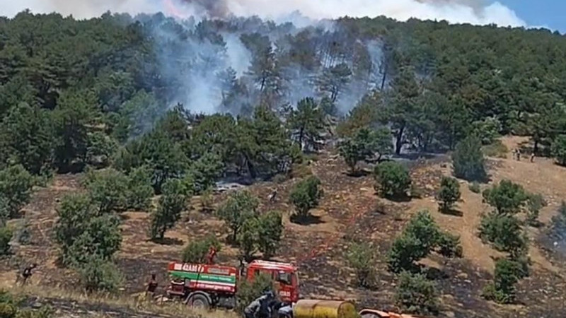 Burnumuzun dibinde orman yangını! Yükselen dumanlar Beyşehir'den de görülüyor