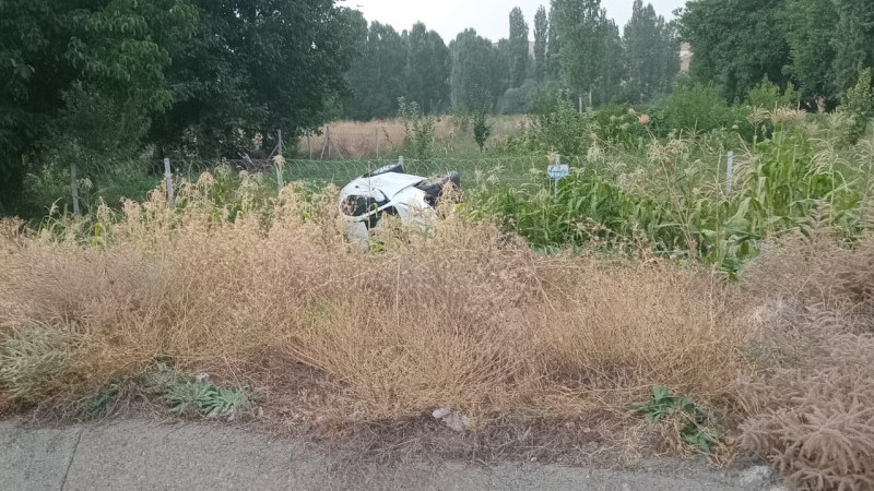 Mısır ekili araziye devrilen otomobildeki 2 kişi yaralandı