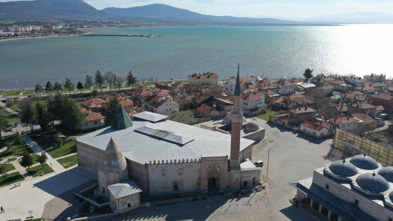 Bak şu kedinin yaptığına!