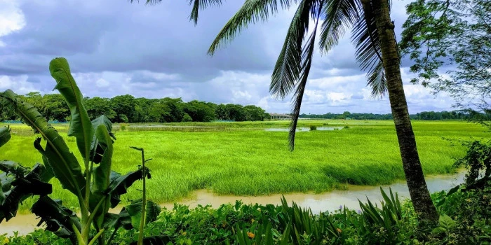 G&uuml;ney Asya&rsquo;nın Gizli Hazinesi: Bangladeş