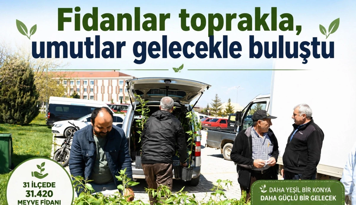 31 il&ccedil;ede 31 bin fidan dağıtıldı