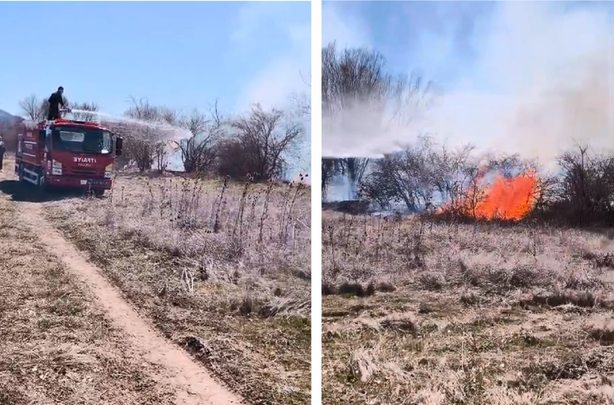 Ağa&ccedil;lık alanda &ccedil;ıkan yangın s&ouml;nd&uuml;r&uuml;ld&uuml;