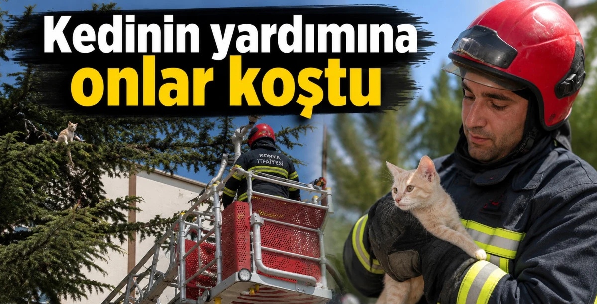 Ağa&ccedil;ta mahsur kaldı, itfaiye yetişti