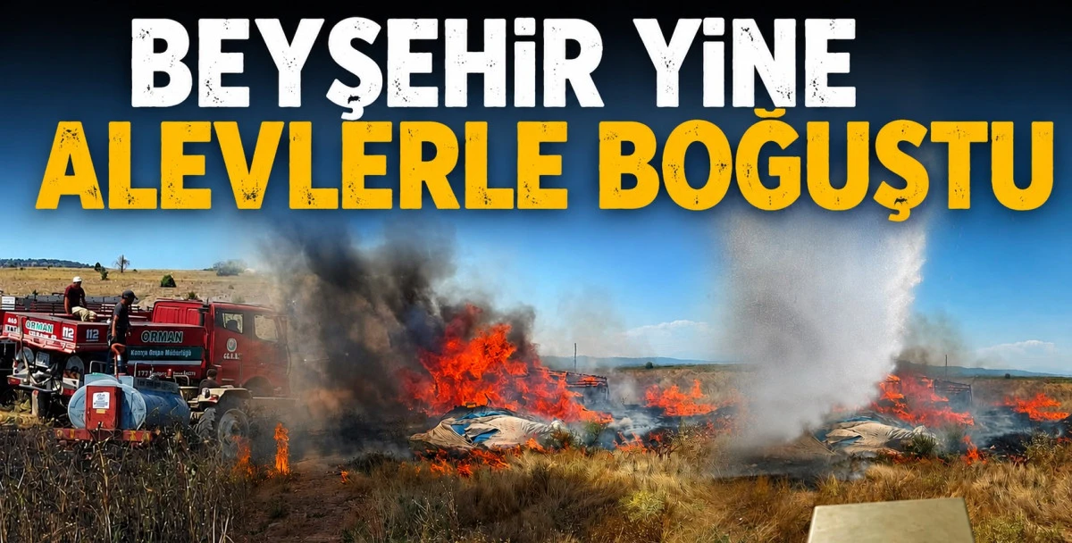 Alevler ormana sı&ccedil;ramadan s&ouml;nd&uuml;r&uuml;ld&uuml;