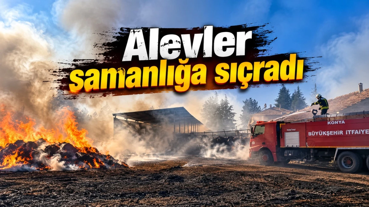 Araziler yine alev alev
