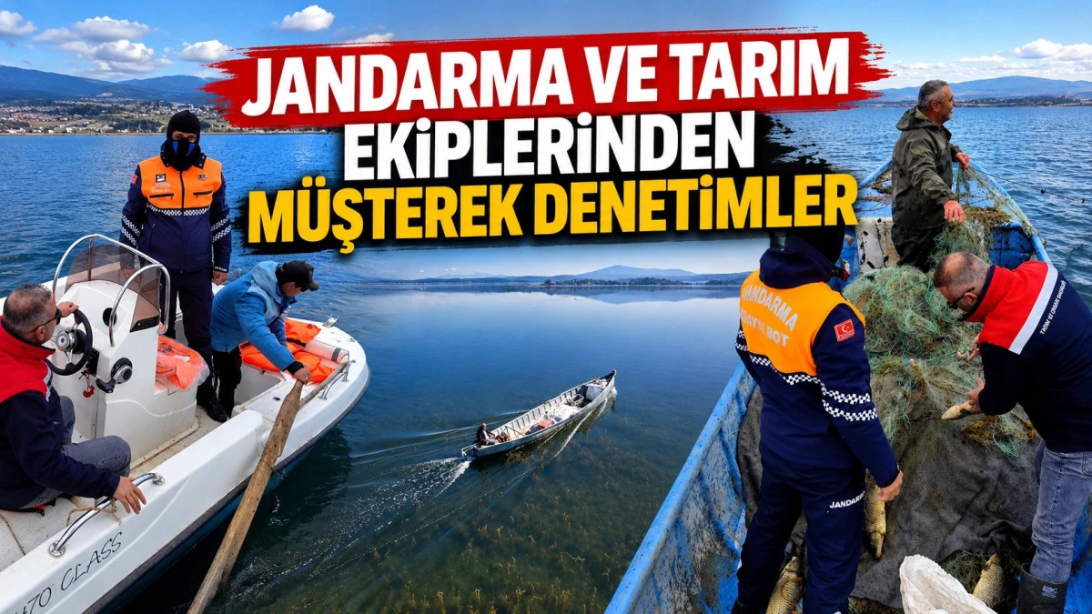 Balıkların boyunu kontrol ettiler