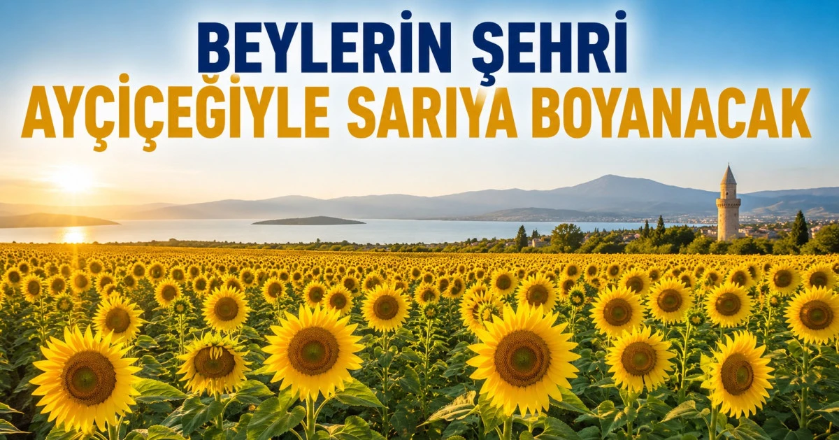 Beyşehir ay&ccedil;i&ccedil;eği a&ccedil;acak