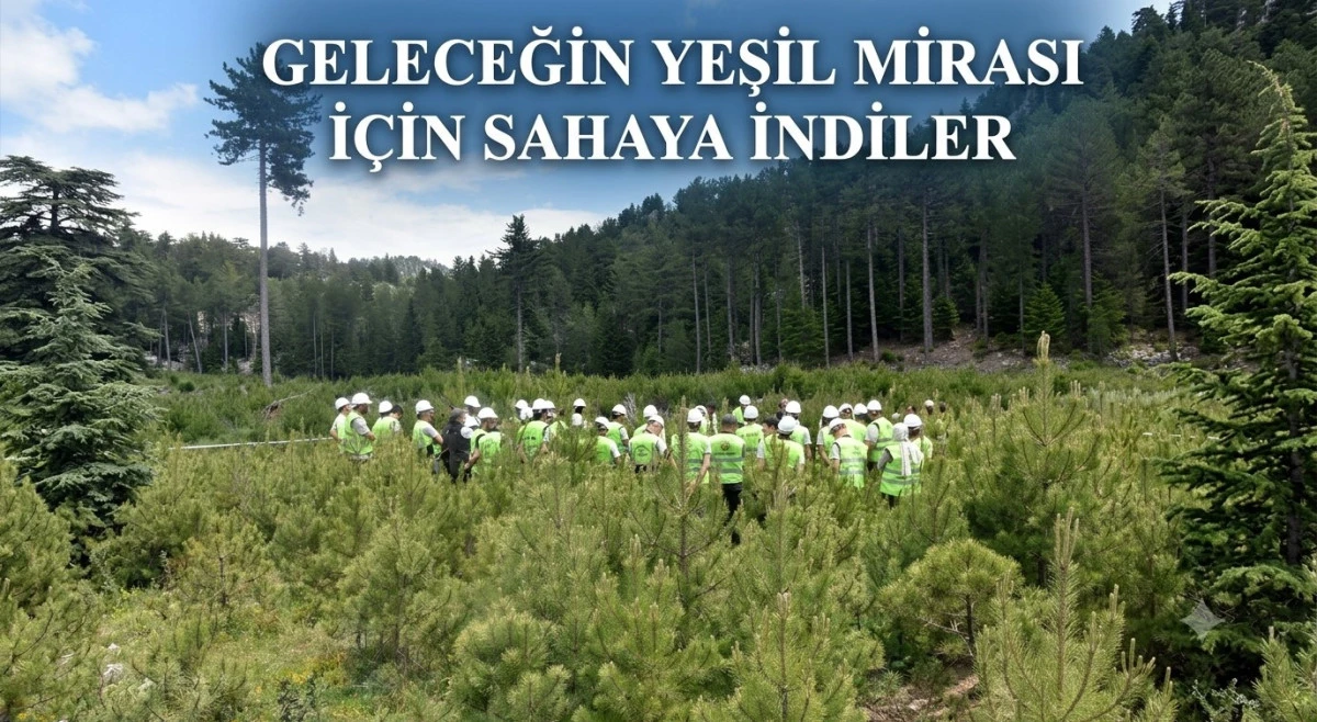 Beyşehir ormanlarında geleceğe yatırım! Teknik personele uygulamalı eğitim