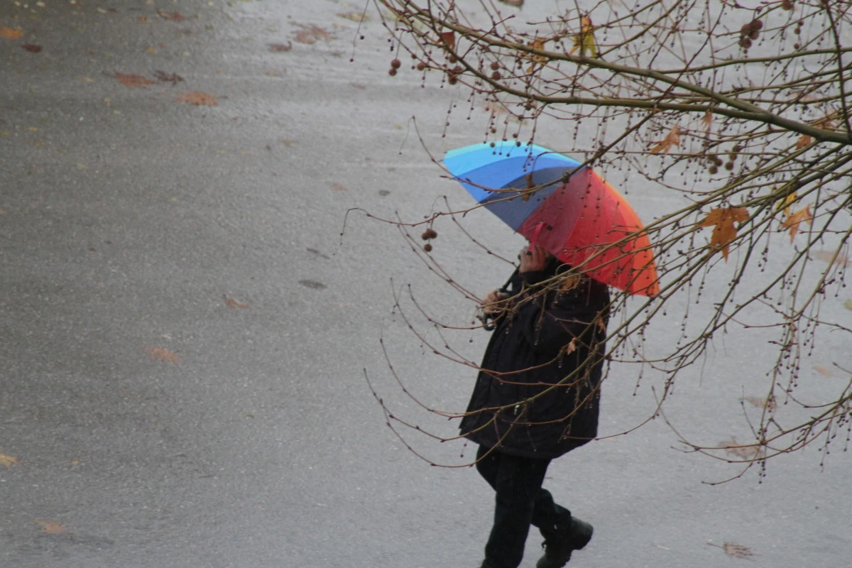 Beyşehir Yeşildağ Orman Sahası yağışta zirvede!