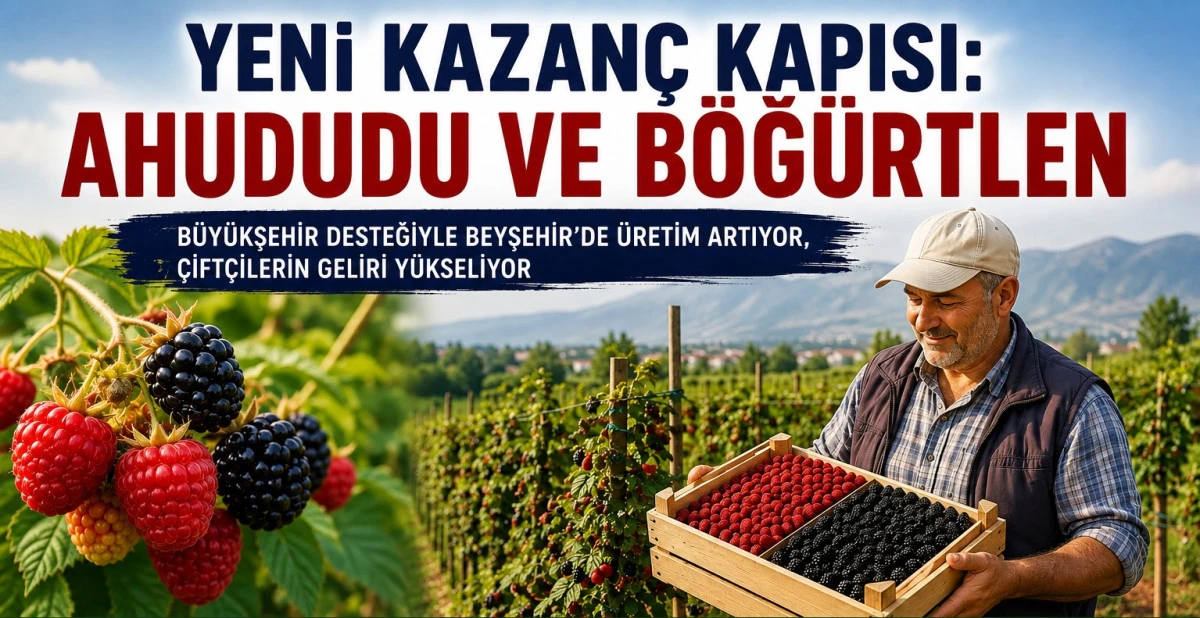 Beyşehir&rsquo;de ahududu ve b&ouml;ğ&uuml;rtlen bah&ccedil;eleri yaygınlaşıyor