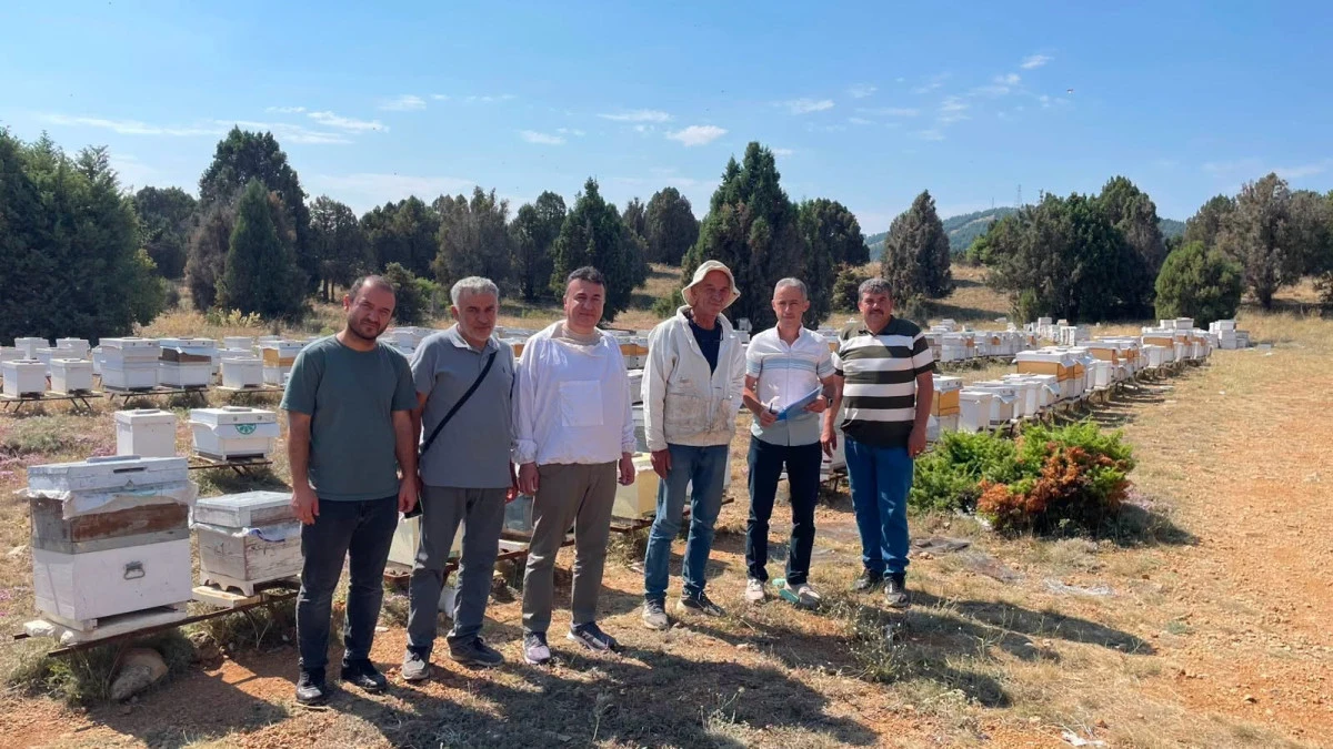 Beyşehir&rsquo;de arılı kovanlar tek tek sayılıyor