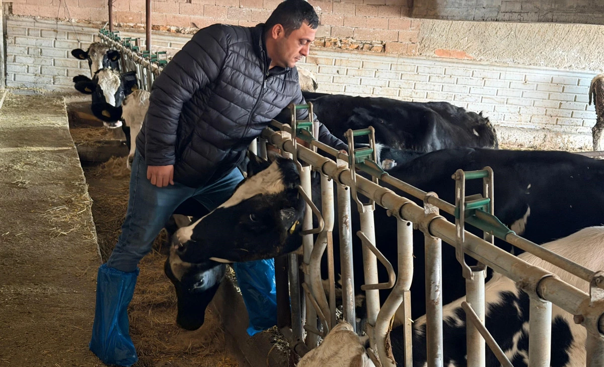Beyşehir&rsquo;de hayvancılık g&uuml;vence altında!