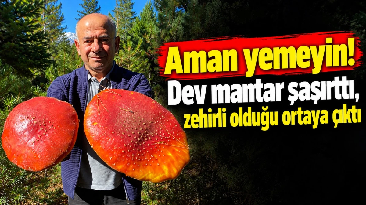 Beyşehir&rsquo;de mantar bereketi! Kanlıcanın kilosu 500 lira