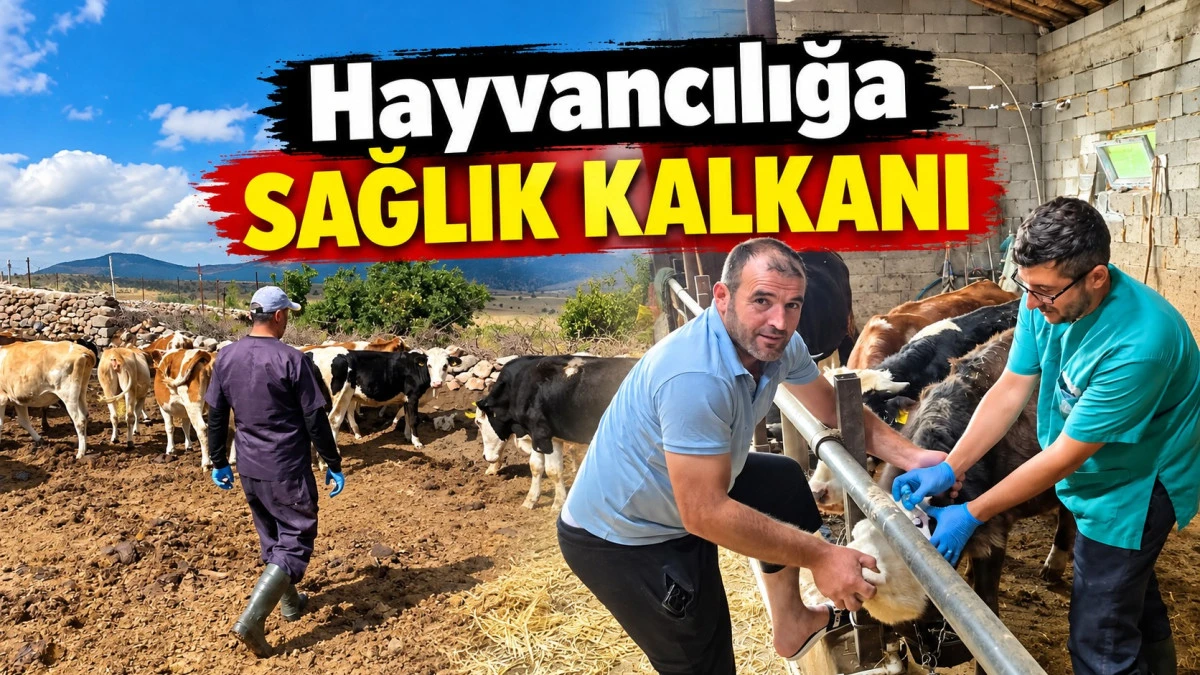 Beyşehir&rsquo;de şap aşısı mesaisi s&uuml;r&uuml;yor
