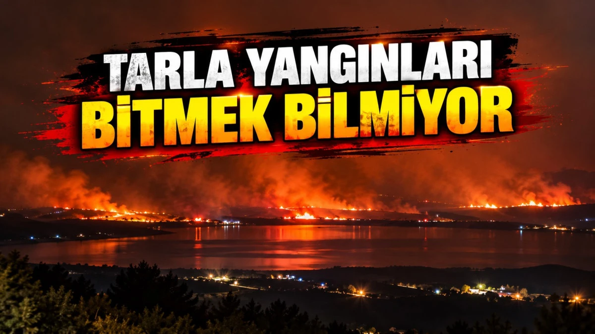 Beyşehir&rsquo;de tarlalar alev alev yanıyor