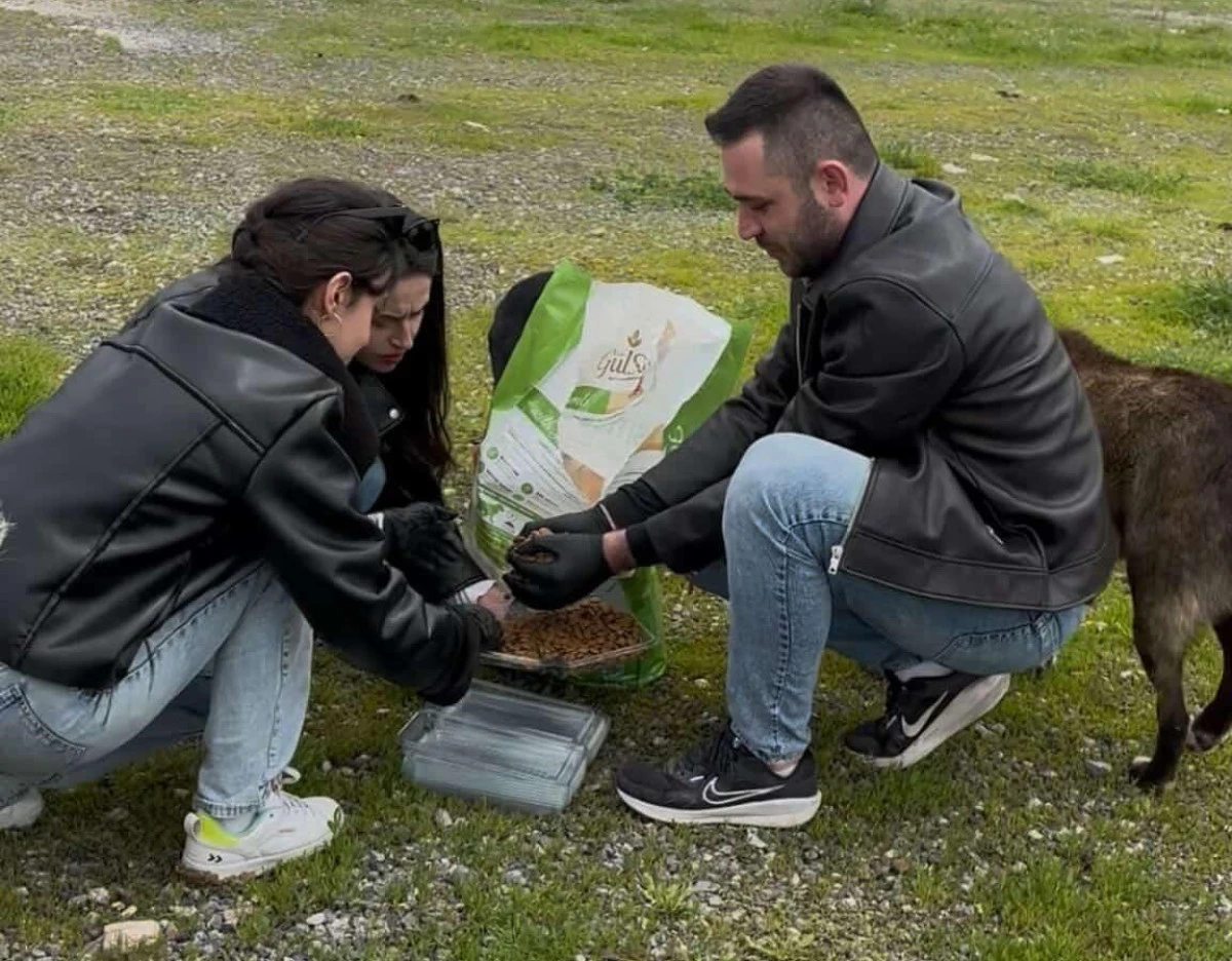Beyşehir'de &Uuml;niversiteli Gen&ccedil;lerden Patili Dostlara Destek