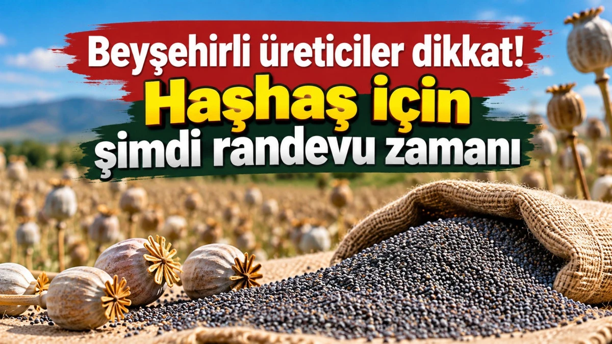 Beyşehir&rsquo;de yeni mahs&uuml;l haşhaş tohumu alımları başlıyor