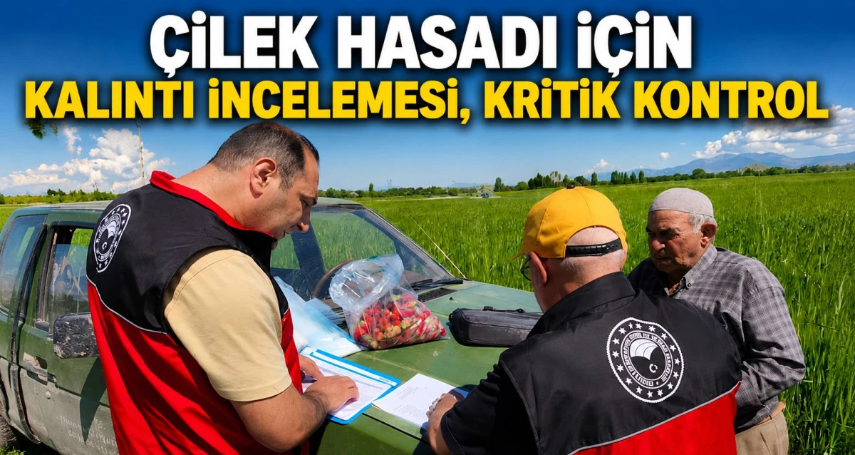 Beyşehir&rsquo;den &ccedil;ilekler laboratuvar yolunda