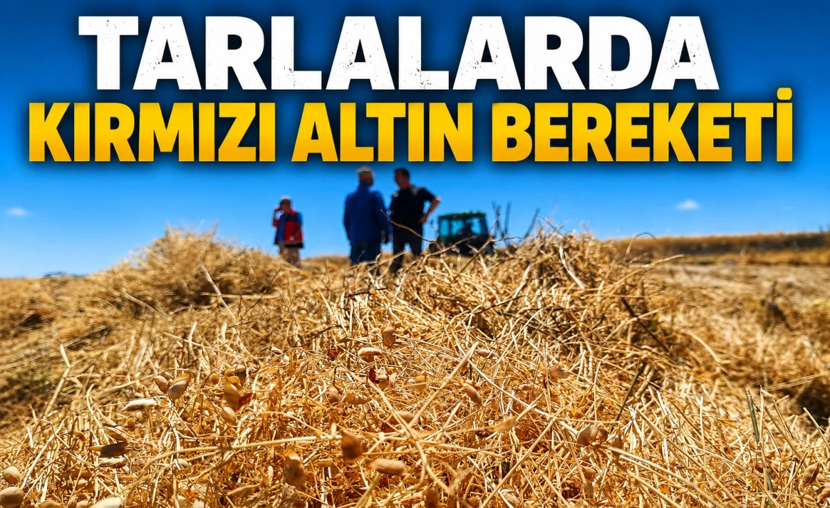 Beyşehir&rsquo;in kırmızı mercimeği tescile koşuyor