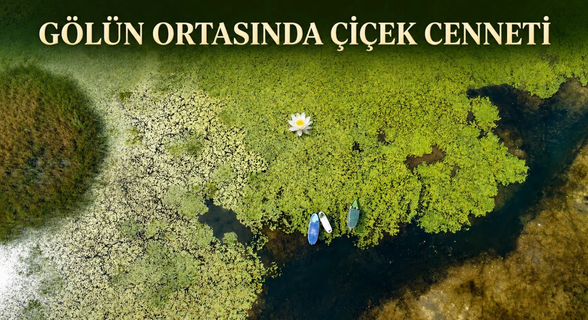 Beyşehir&rsquo;in sazlıklar arasında saklı cenneti