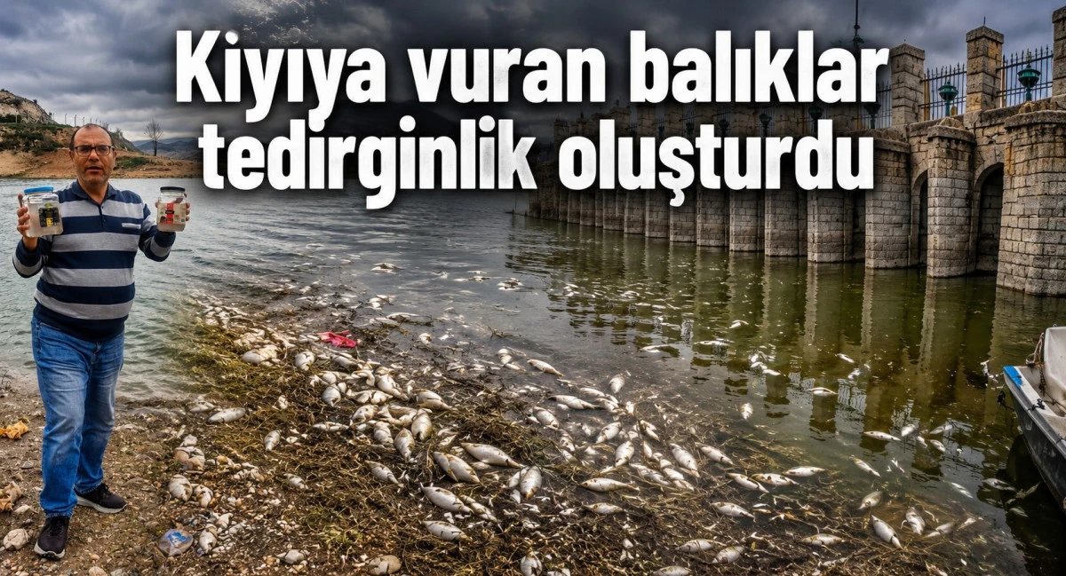 Bu balıklar neden &ouml;l&uuml;yor?