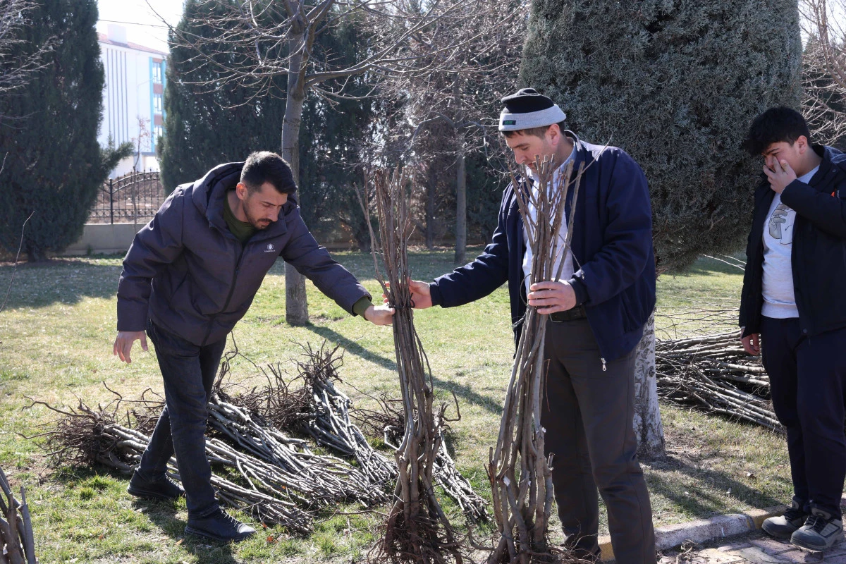 B&uuml;y&uuml;kşehir&rsquo;den kırsala can suyu, &uuml;retime g&uuml;&ccedil; veren destek