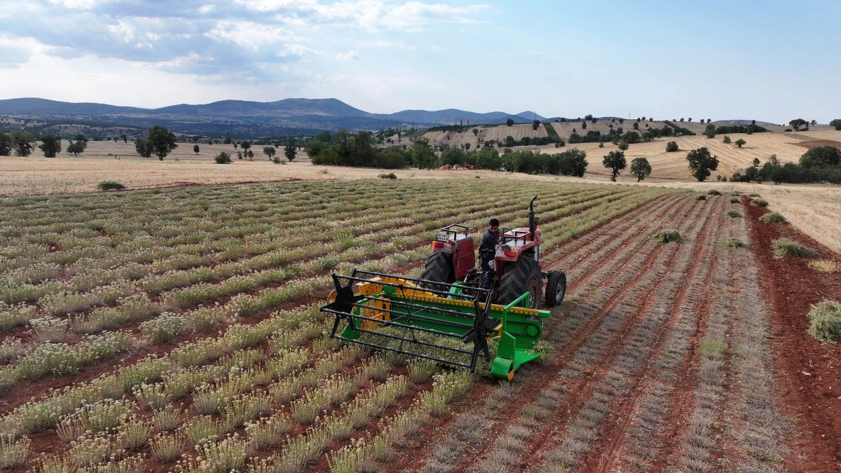 &Ccedil;ift&ccedil;iye ve &uuml;reticiye destek artarak s&uuml;r&uuml;yor