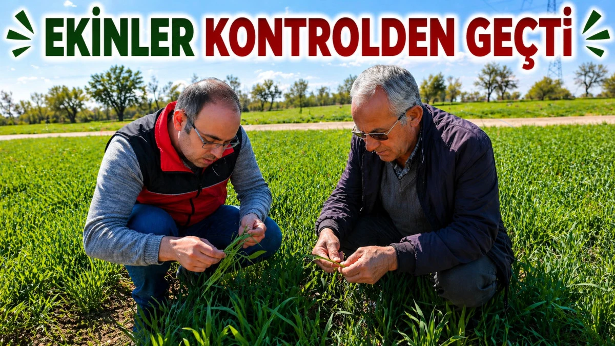 &Ccedil;ift&ccedil;iye yerinde destek