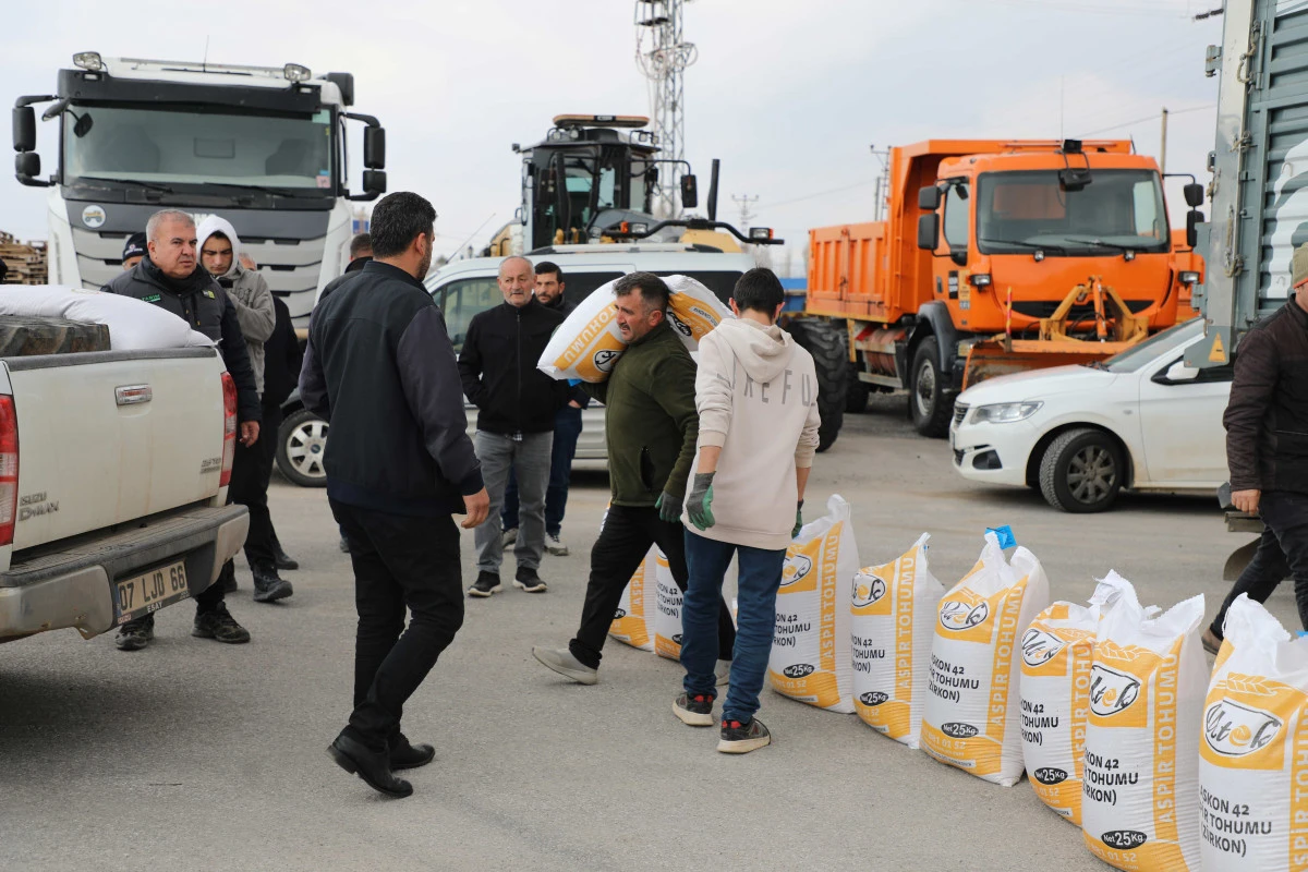 &Ccedil;ift&ccedil;iye y&uuml;zde 50 hibeli aspir tohumu desteği