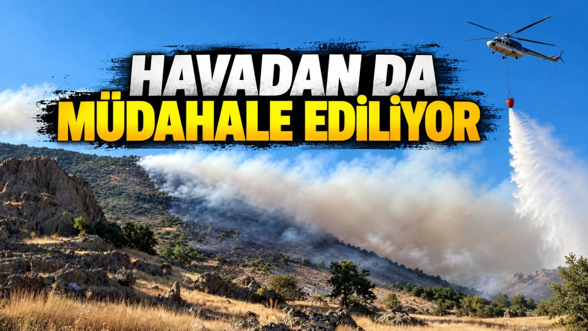 Ciğerlerimiz yanıyor! Ormanlık alanda yangın &ccedil;ıktı