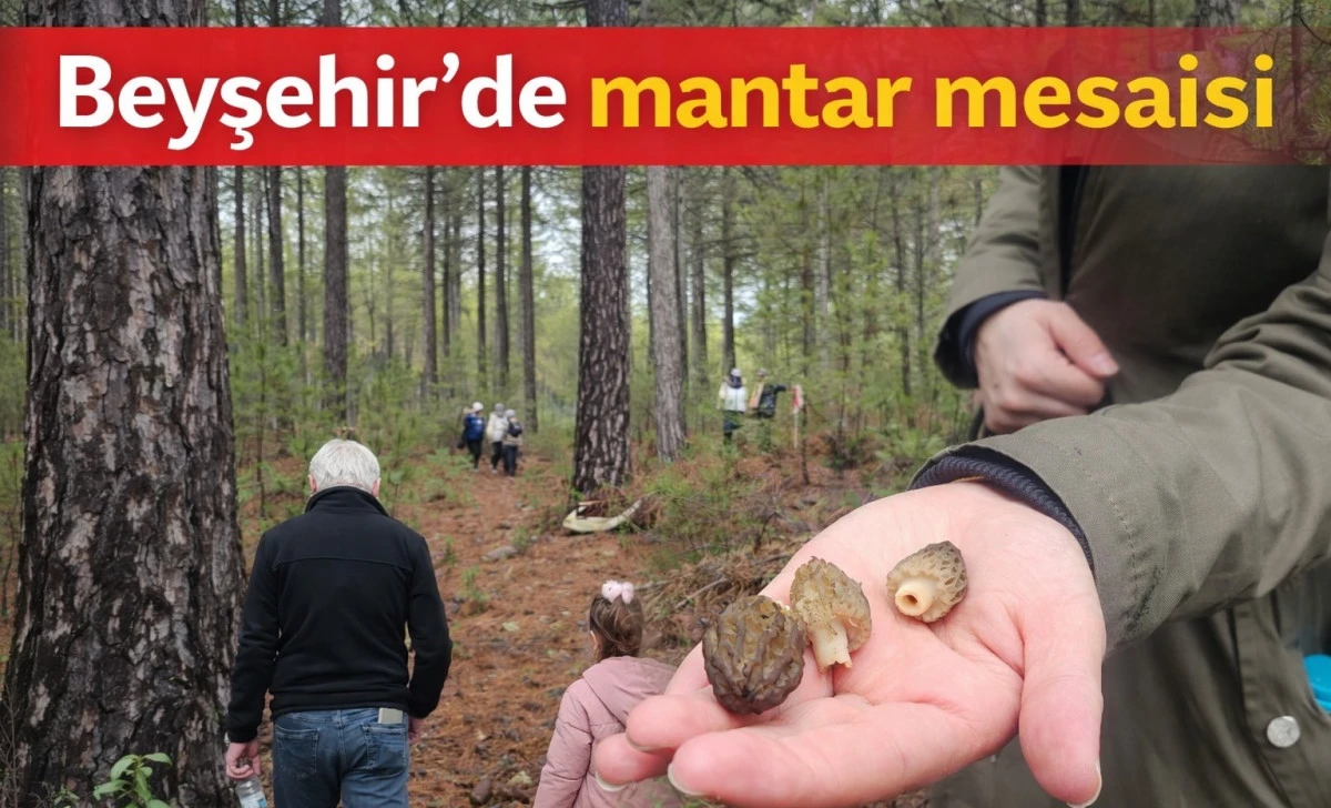 Doğada kuzug&ouml;beği avı