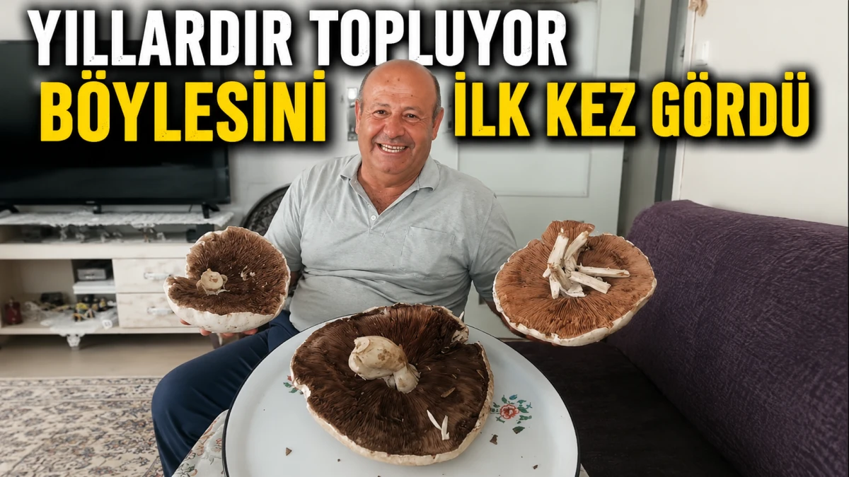 Doğada buldu, g&ouml;zlerine inanamadı