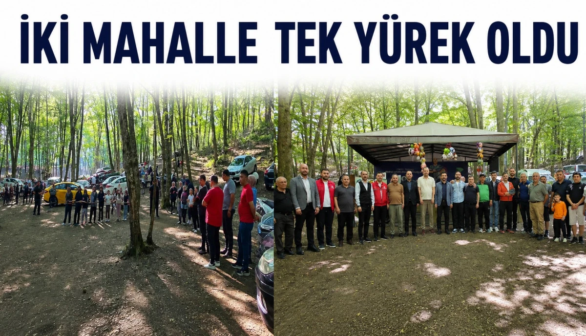 Dostluk pikniği hemşerileri bir araya getirdi