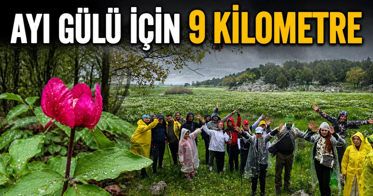 Endemik t&uuml;rler i&ccedil;in doğaya &ccedil;ıktılar